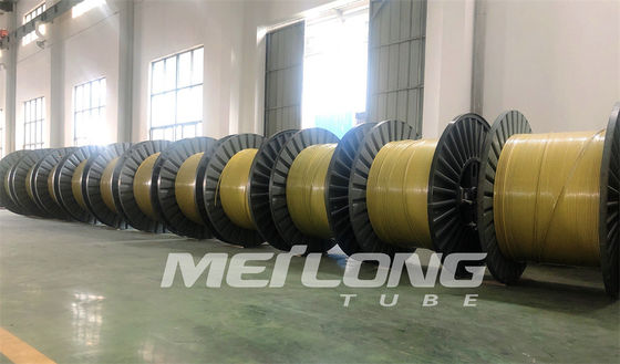 PVDF এনক্যাপসুলেটেড 304 স্টেইনলেস স্টীল ক্যাপিলারি টিউব নিকেল অ্যালয়