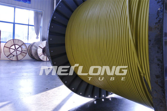 PVDF এনক্যাপসুলেটেড এসএস ক্যাপিলারি টিউব কন্ট্রোল লাইন ফ্ল্যাটপ্যাক তেল এবং গ্যাস কূপের জন্য