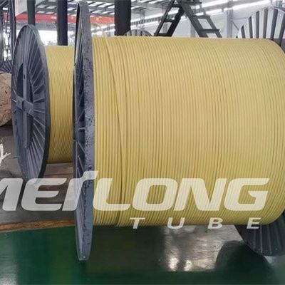 দুটি টিউব উচ্চ চাপ সহ TP316L PVDF এনক্যাপসুলেটেড কন্ট্রোল লাইন ফ্ল্যাটপ্যাক
