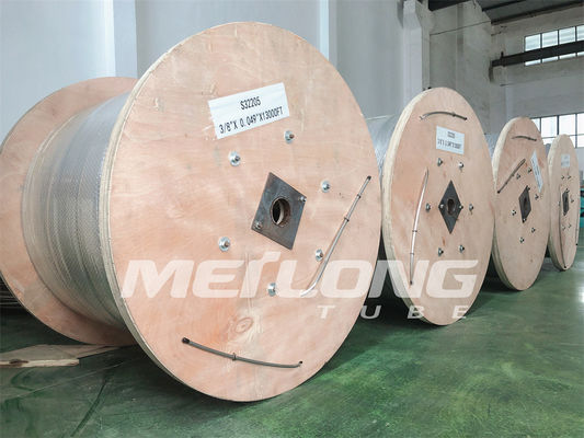 NACE MR0175 316L কেমিক্যাল ইনজেকশন লাইন বিজোড় এনক্যাপসুলেটেড কন্ট্রোল লাইন