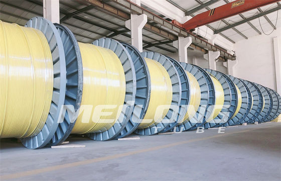 PVDF 12000M এনক্যাপসুলেটেড কন্ট্রোল লাইন গোলাকার আয়তক্ষেত্রাকার কৈশিক কয়েলড টিউবিং